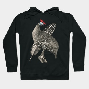 Guineafowl with Decorative Feather Hoodie